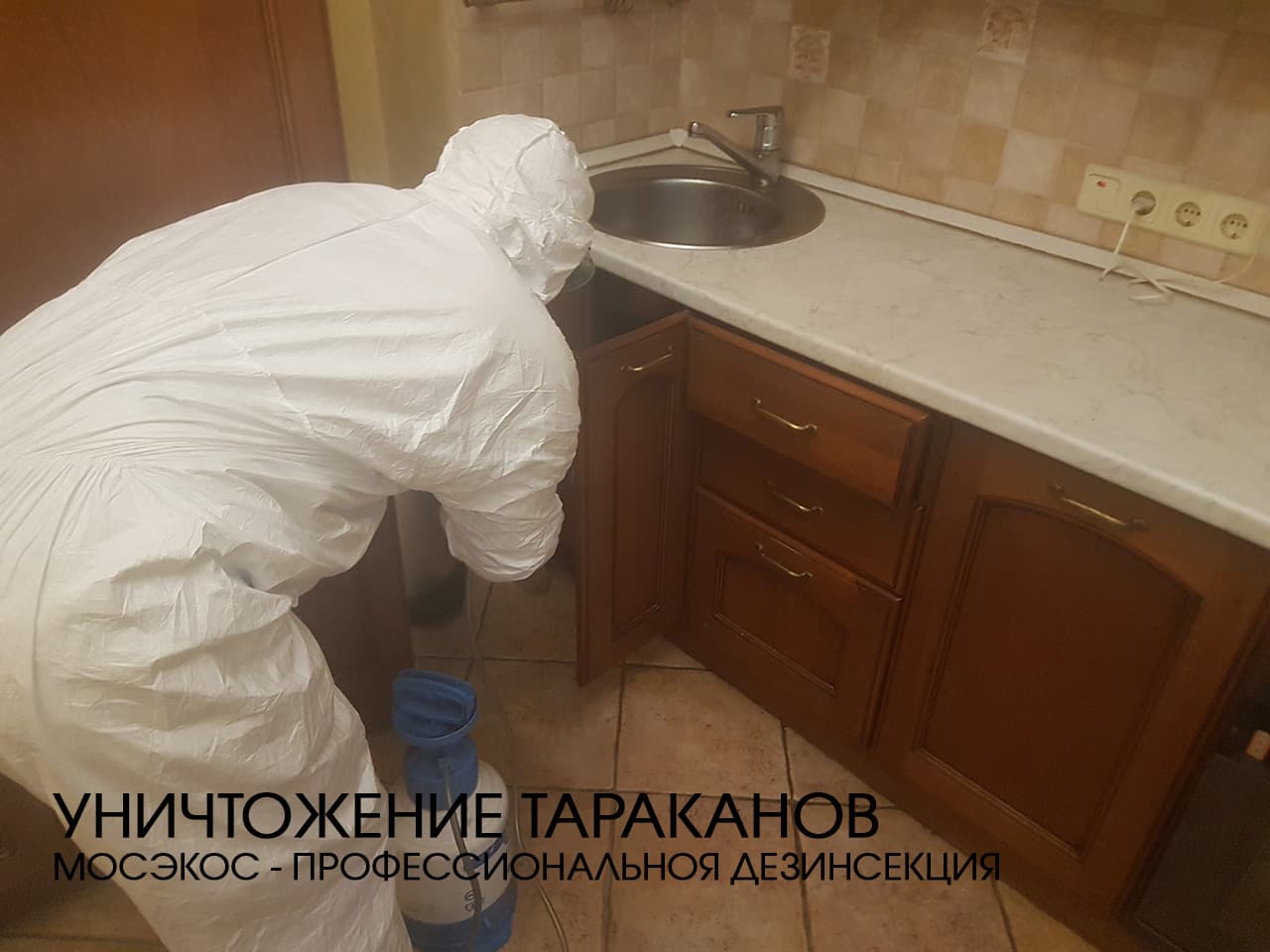 Служба по уничтожению тараканов в Серпухове