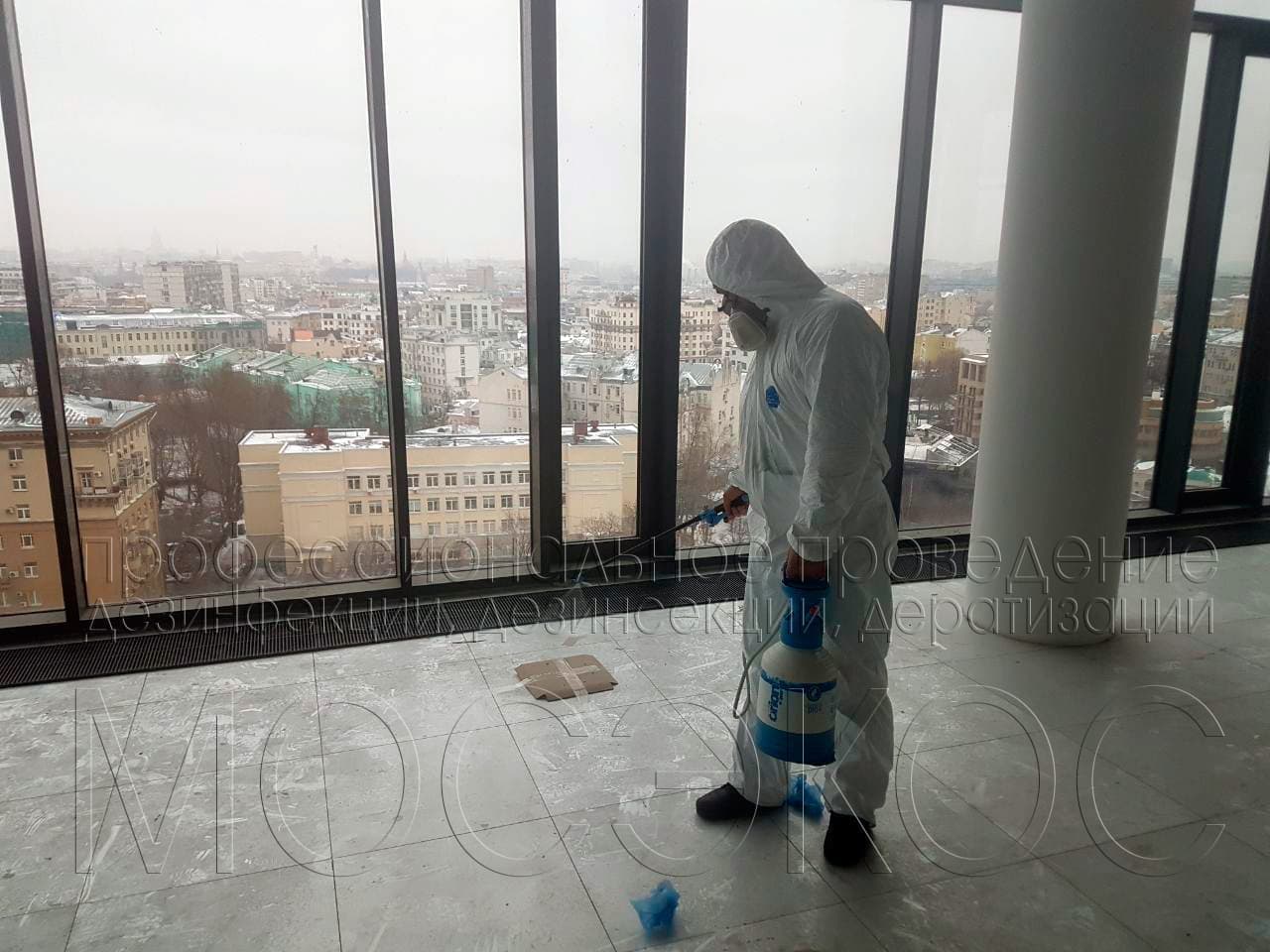 Обработка от тараканов в квартире в Серпухове