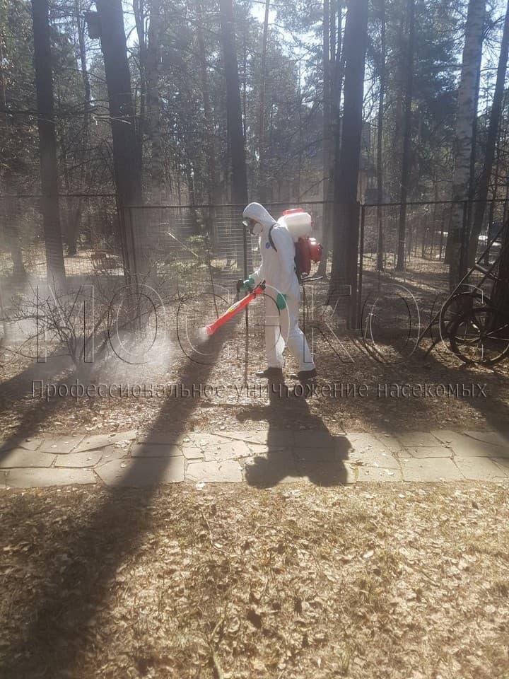 Уничтожение клещей на участке в Серпухове