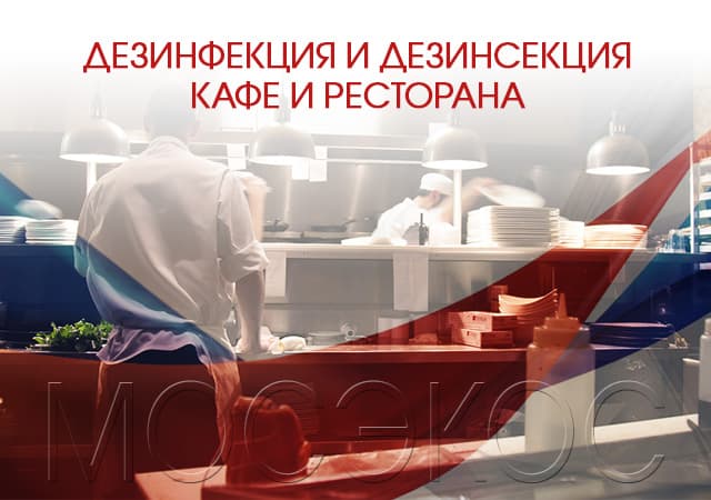 Дезинсекция предприятия общественного питания в Серпухове