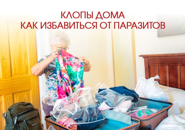 Клопы дома: как избавиться от паразитов в Серпухове